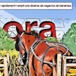 Mass Image Compressor Compressed this image. https://sourceforge.net/projects/icompress/ with Quality:80